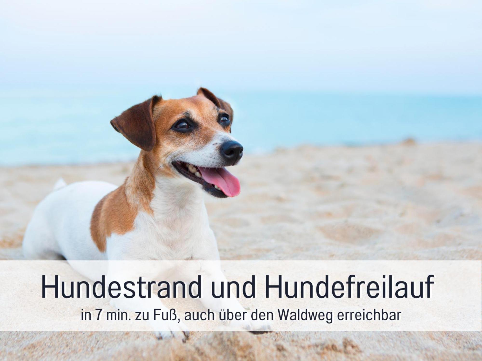 Strandloft Cuxhaven Im Haus Frauenpreiss Sahlenburg - Strandnah - 2 Hunde Willkommen -Schwimmbad - Sauna - Direkt Am Wald - Dachterrasse Mit Blick Nach Neuwerk Exterior photo
